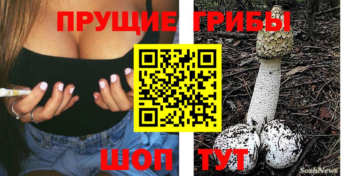 Сергиев Посад  Галлюциногенные грибы Psilocybe  Псилоцибиновые грибы Magic Shrooms  Вход с VPN 